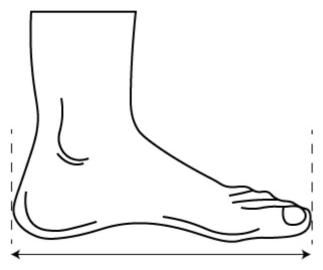 Diagram of a foot with an arrow measuring from the heel to the longest toe